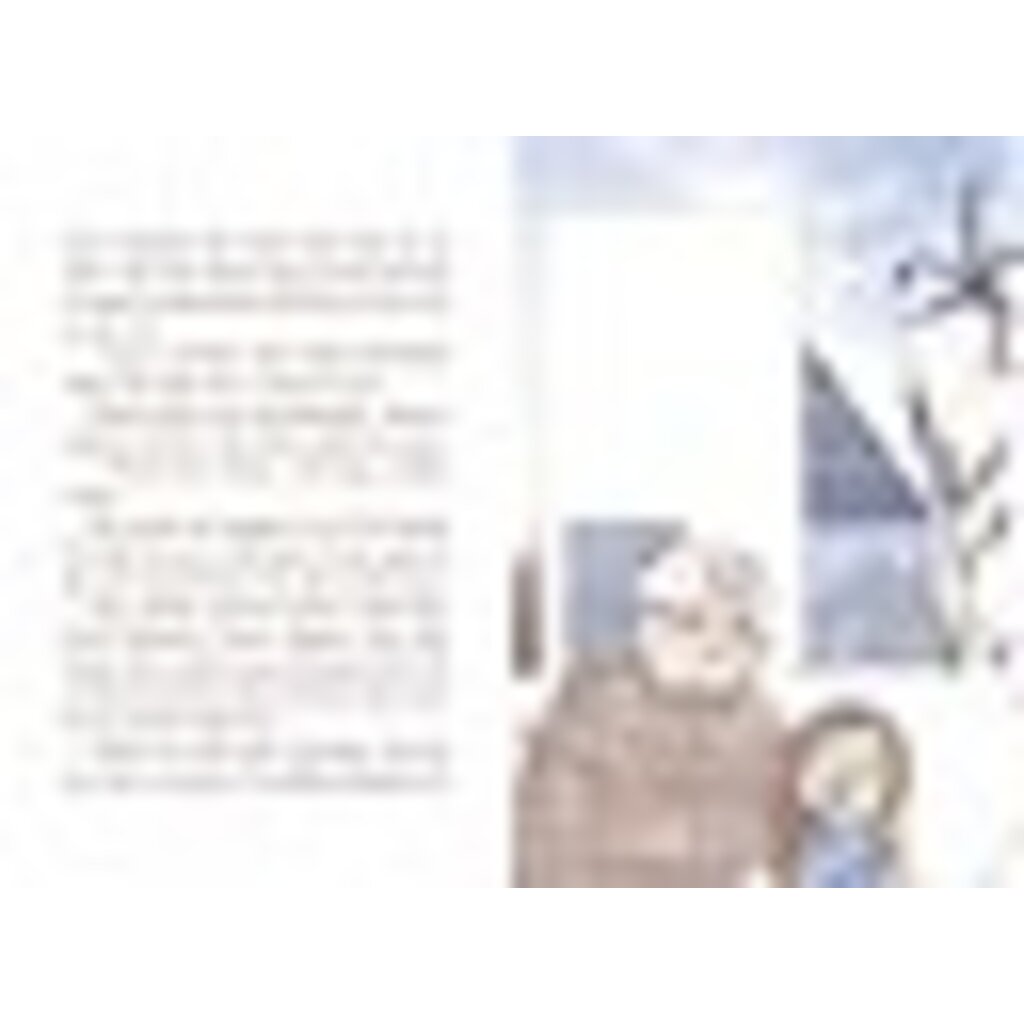 QUESTIONEERS 4 SOFIA VALDEZ AND THE VANISHING VOTE HB BEATY