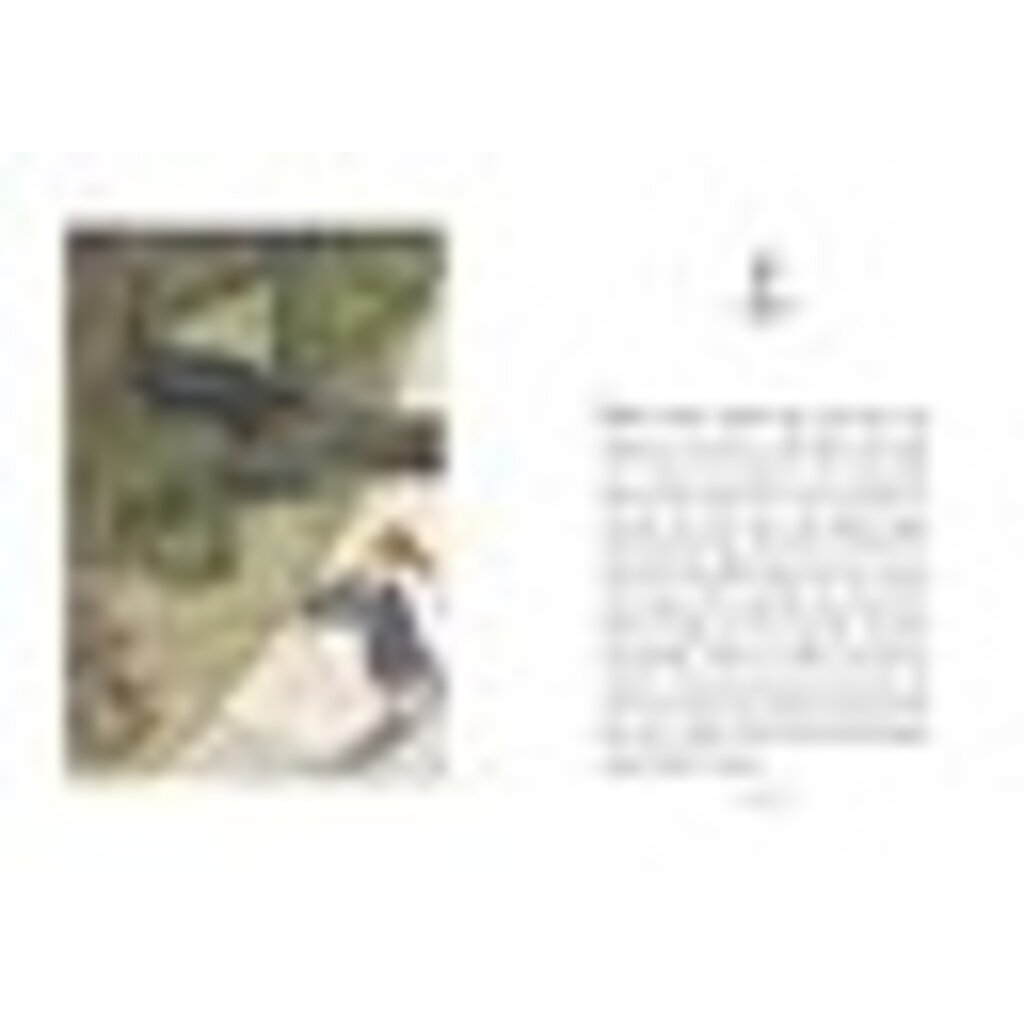 ATHENEUM BOOKS FOR YOUNG READERS CATWINGS 4 JANE ON HER OWN PB LE GUIN