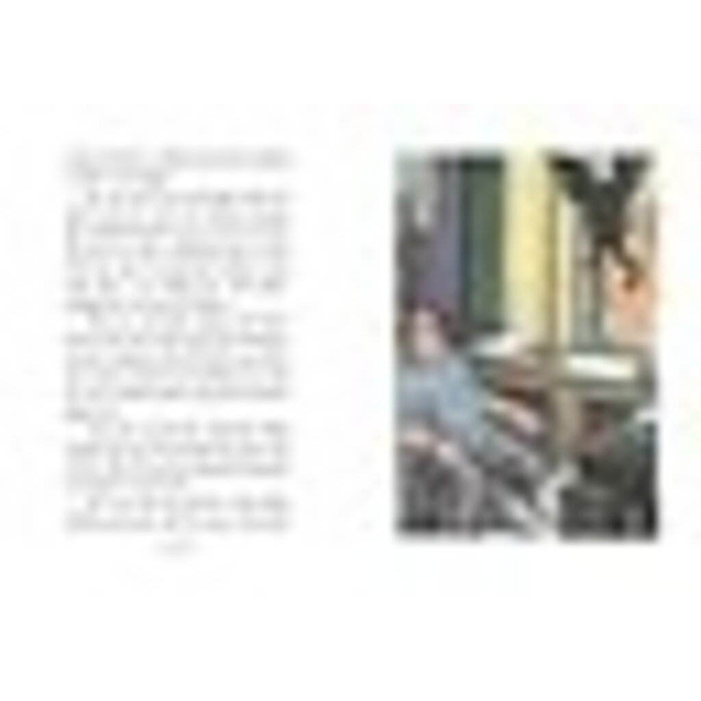 ATHENEUM BOOKS FOR YOUNG READERS CATWINGS 4 JANE ON HER OWN PB LE GUIN