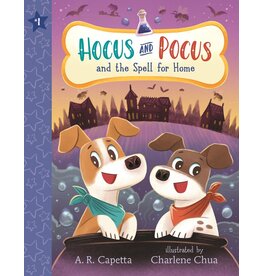 CANDLEWICK PRESS HOCUS AND POCUS 1 SPELL FOR HOME PB CAPETTA