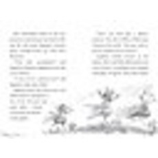 SIMON SPOTLIGHT ANGELINA BALLERINA AND THE DANCING PRINCESS PB HOLABIRD