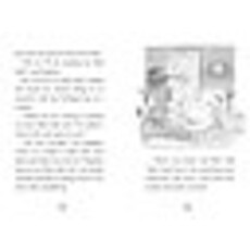 SIMON SPOTLIGHT ANGELINA BALLERINA AND THE DANCING PRINCESS PB HOLABIRD