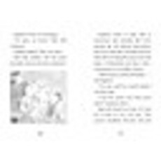 SIMON SPOTLIGHT ANGELINA BALLERINA AND THE DANCING PRINCESS PB HOLABIRD