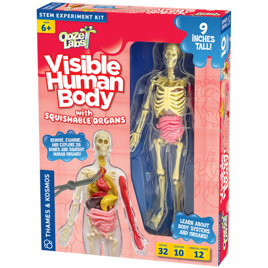 OOZE LABS VISIBLE HUMAN BODY