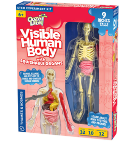 OOZE LABS VISIBLE HUMAN BODY