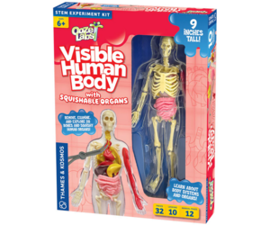 ooze-labs-visible-human-body.jpg