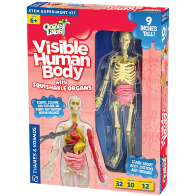 OOZE LABS VISIBLE HUMAN BODY
