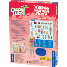 OOZE LABS VISIBLE HUMAN BODY