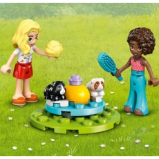 LEGO GUINEA PIG PLAYGROUND