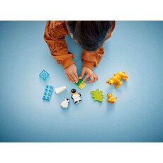 LEGO WILD ANIMAL FAMILIES: PENGUINS & LIONS