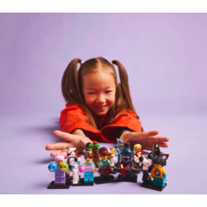 LEGO LEGO MINIFIGURE SERIES 27