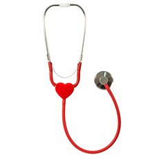 EDUCATIONAL INSIGHTS STETHOSCOPE