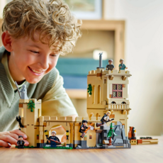 LEGO HOGWARTS CASTLE: FLYING LESSONS