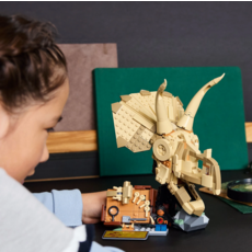 LEGO DINOSAUR FOSSILS: TRICERATOPS SKULL