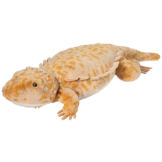DOUGLAS COMPANY INC BOOGIE BEARDED DRAGON JUMBO