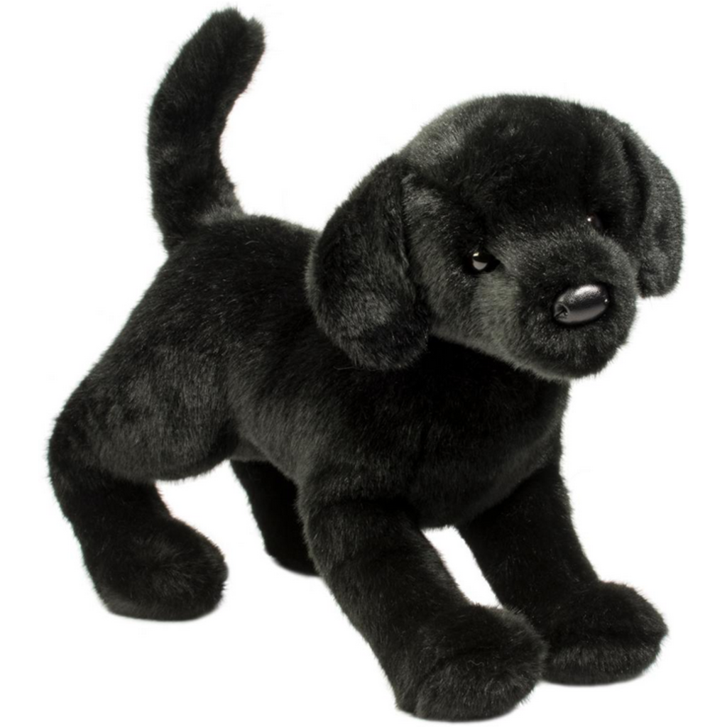 DOUGLAS COMPANY INC CHESTER BLACK LAB