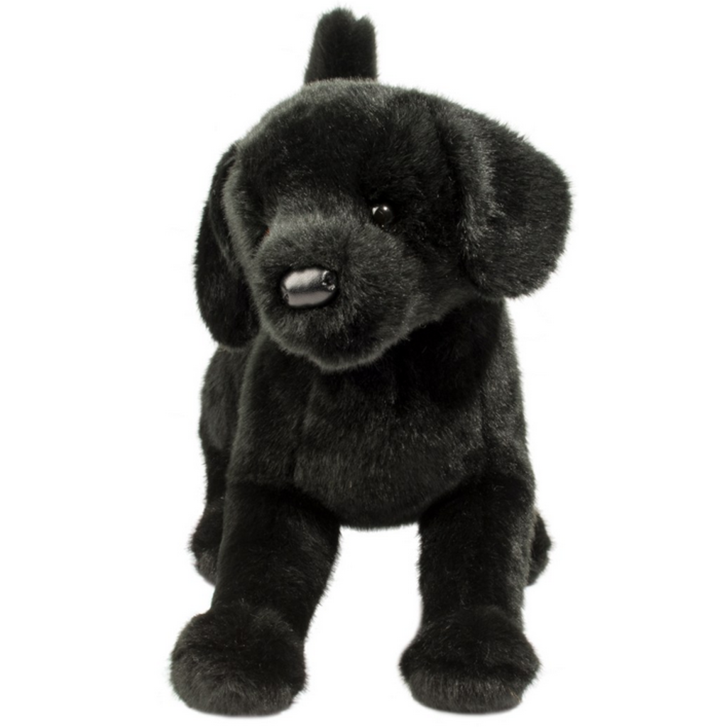 DOUGLAS COMPANY INC CHESTER BLACK LAB