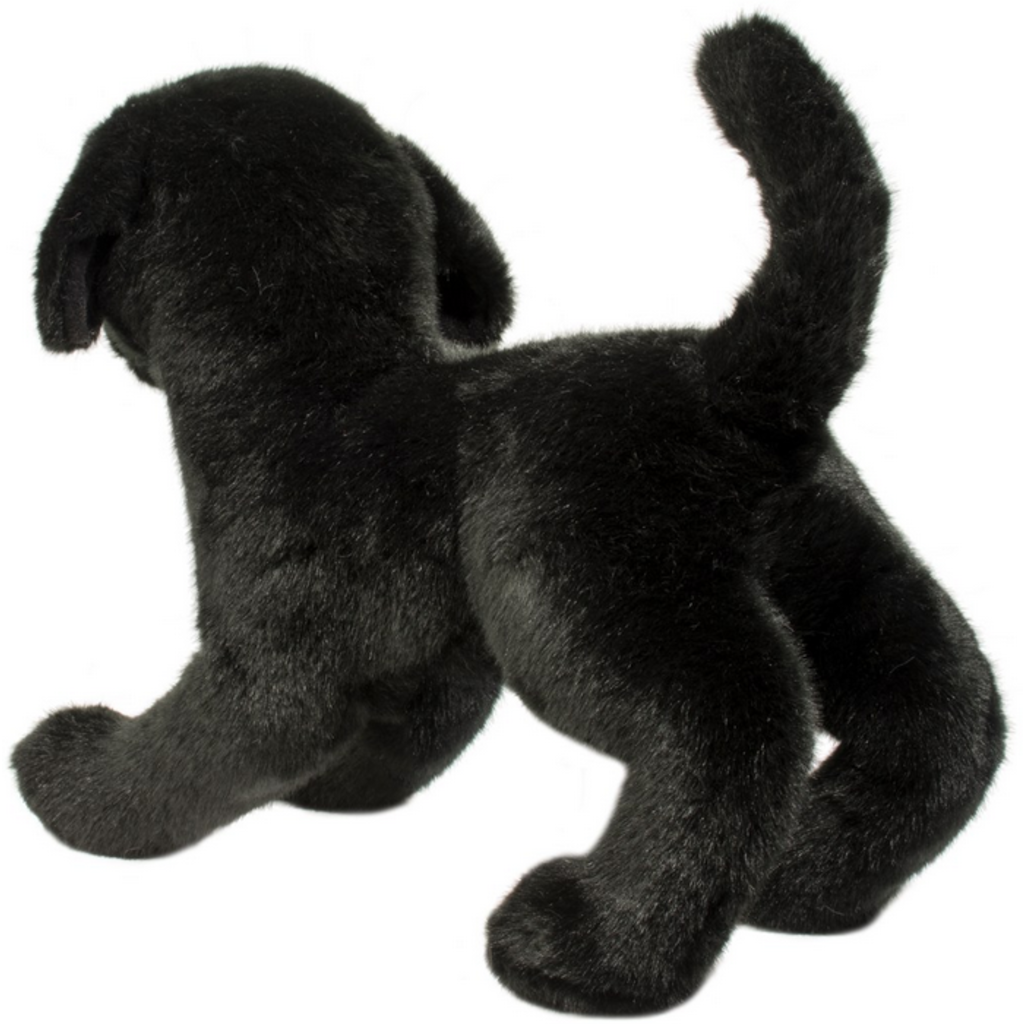 DOUGLAS COMPANY INC CHESTER BLACK LAB