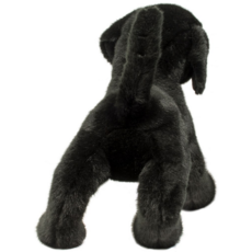 DOUGLAS COMPANY INC CHESTER BLACK LAB