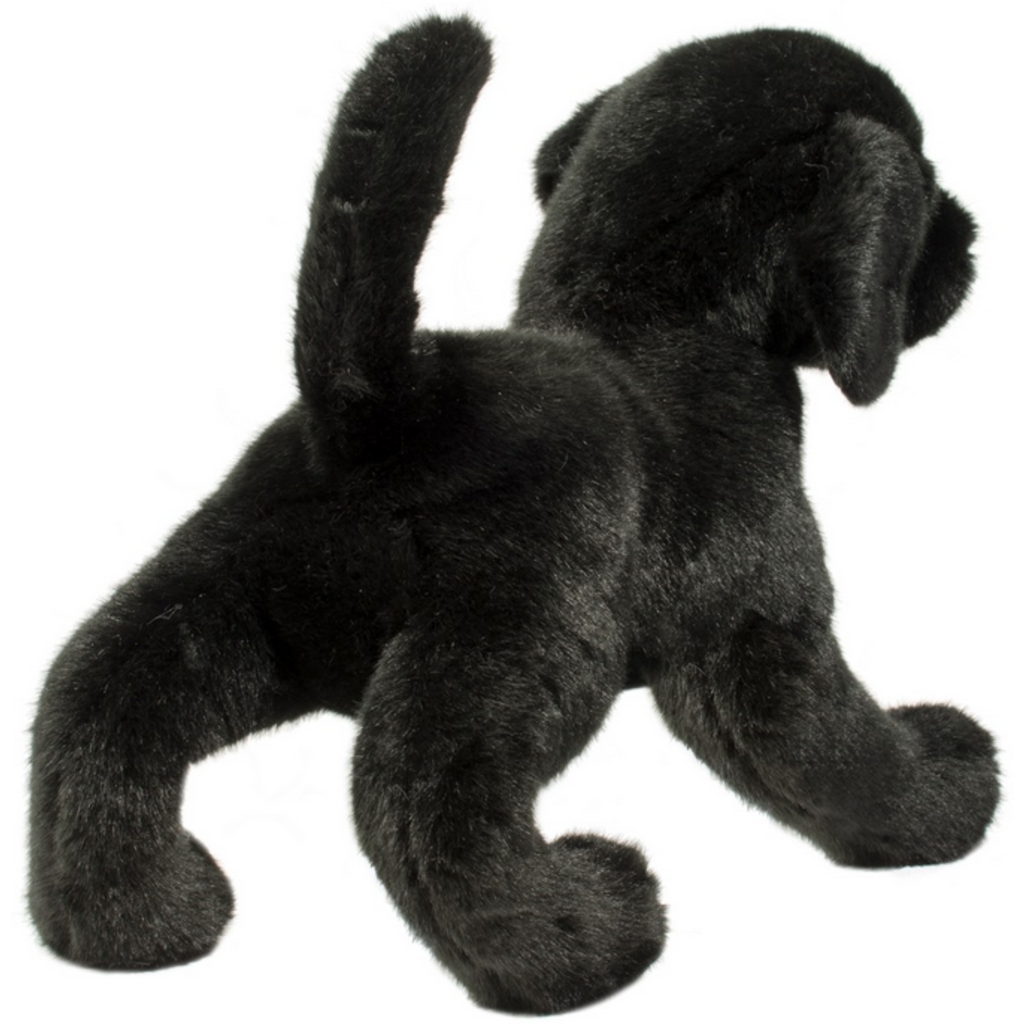 DOUGLAS COMPANY INC CHESTER BLACK LAB