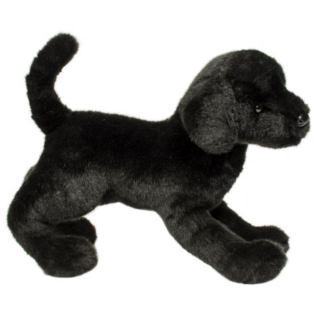 DOUGLAS COMPANY INC CHESTER BLACK LAB