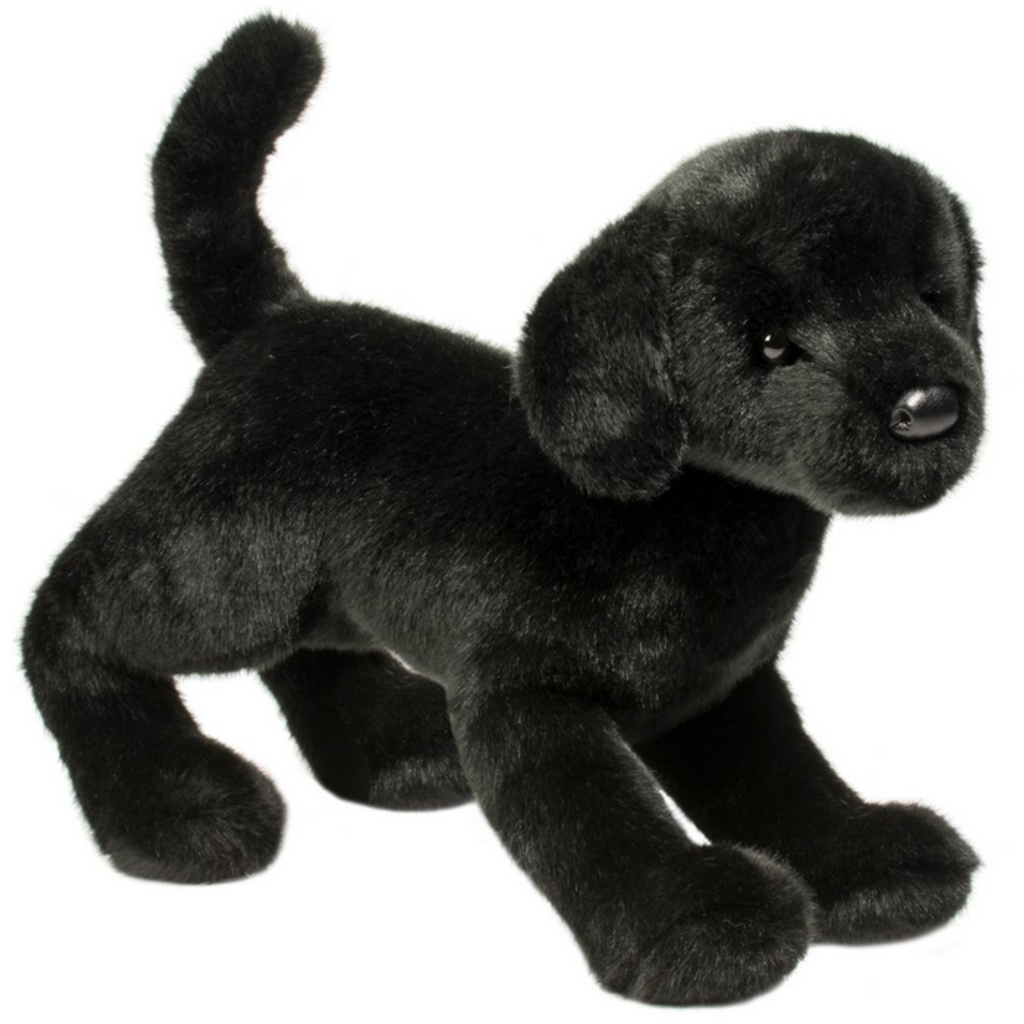 DOUGLAS COMPANY INC CHESTER BLACK LAB
