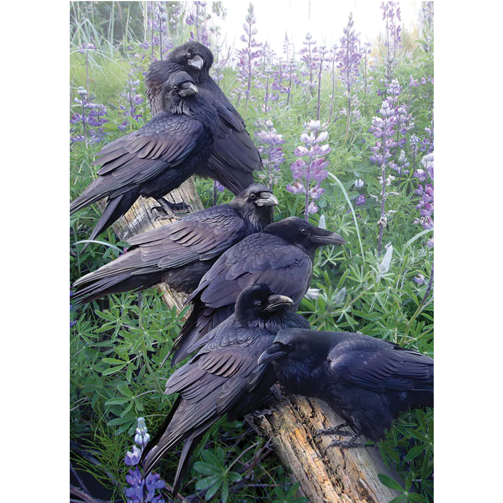 COBBLE HILL RAVEN RENDEZVOUS 1000 PC PUZZLE