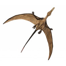 SAFARI SAFARI RHAMPHORHYNCHUS DINOSAUR