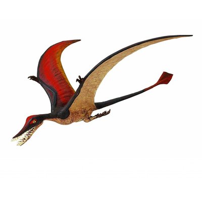 SAFARI SAFARI RHAMPHORHYNCHUS DINOSAUR