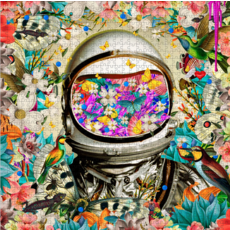 POMEGRANATE DAVID KROVBLIT ASTRONAUT 1000 PC PUZZLE