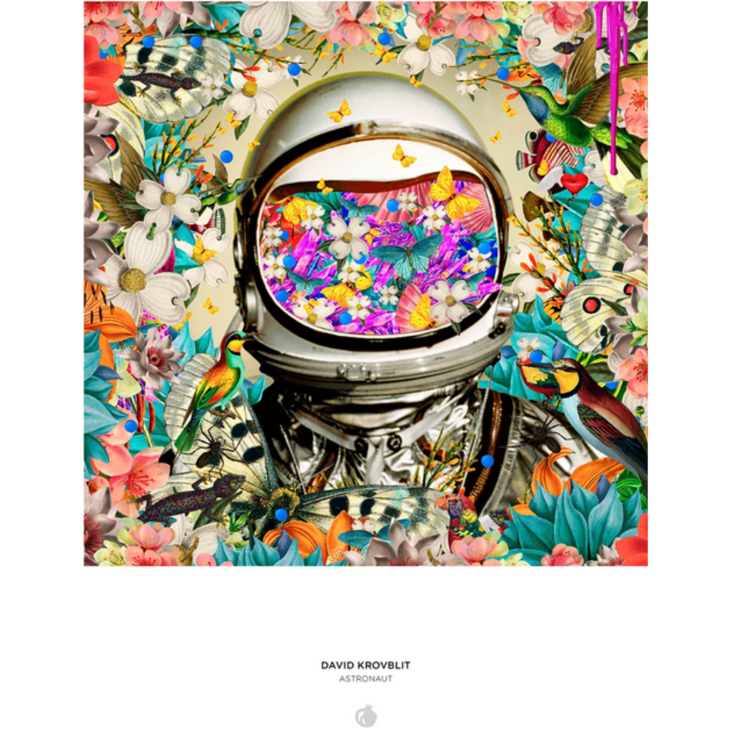 POMEGRANATE DAVID KROVBLIT ASTRONAUT 1000 PC PUZZLE