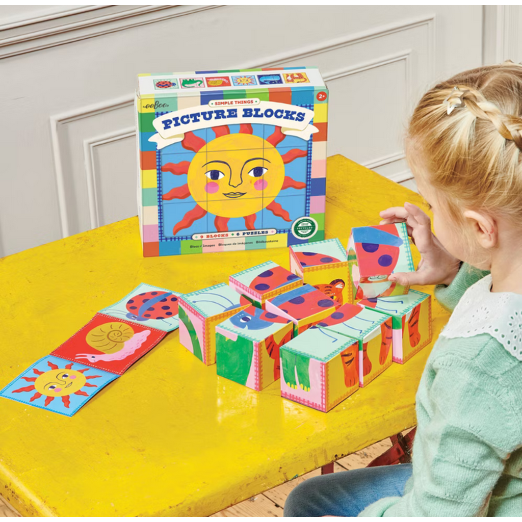 EEBOO SIMPLE THINGS PICTURE BLOCKS
