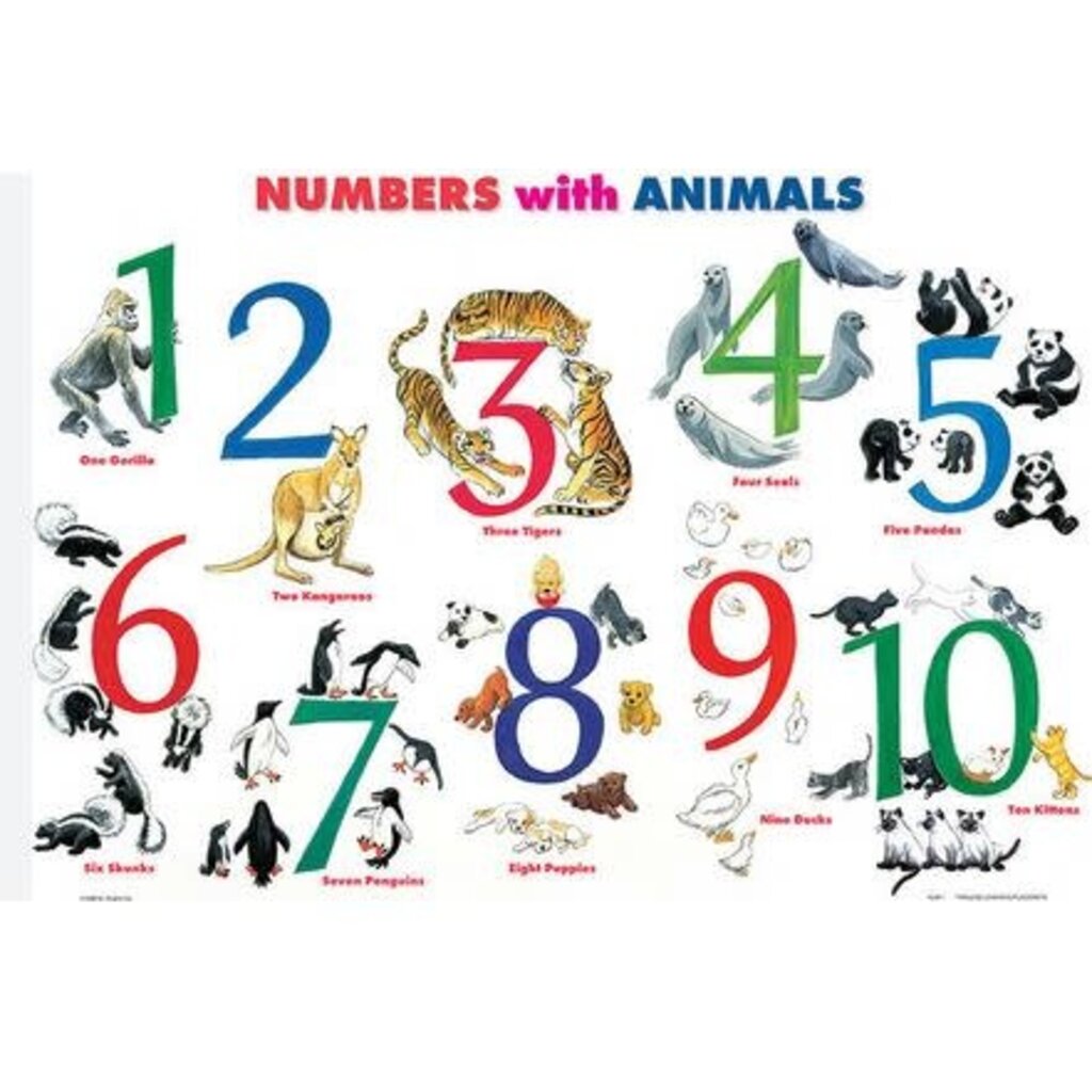 M. RUSKIN CO. MATH PLACEMAT