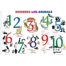 M. RUSKIN CO. MATH PLACEMAT