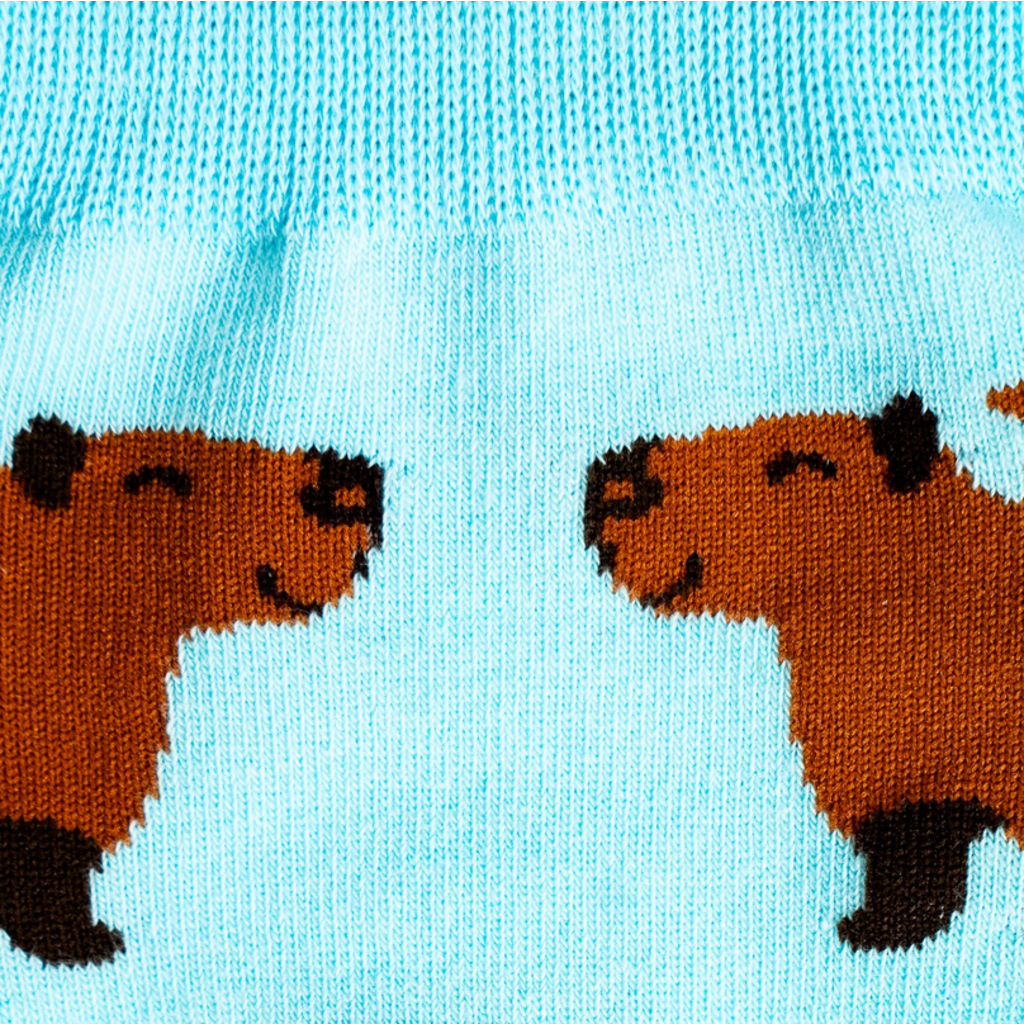 SOCK IT TO ME HAPPYBARA MEN CREW