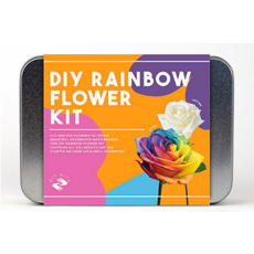 GIFT REPUBLIC DIY RAINBOW FLOWER KIT*