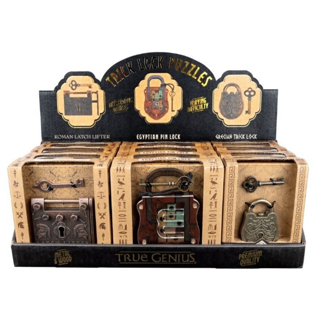 PROJECT GENIUS LOCK & KEY PUZZLE