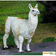 SAFARI SAFARI LLAMA
