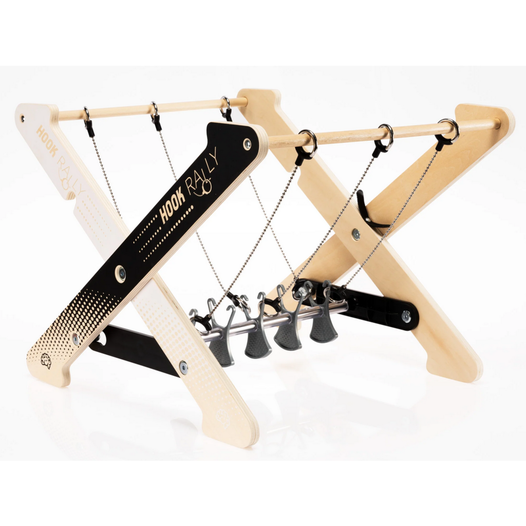 FAT BRAIN TOYS HOOK RALLY