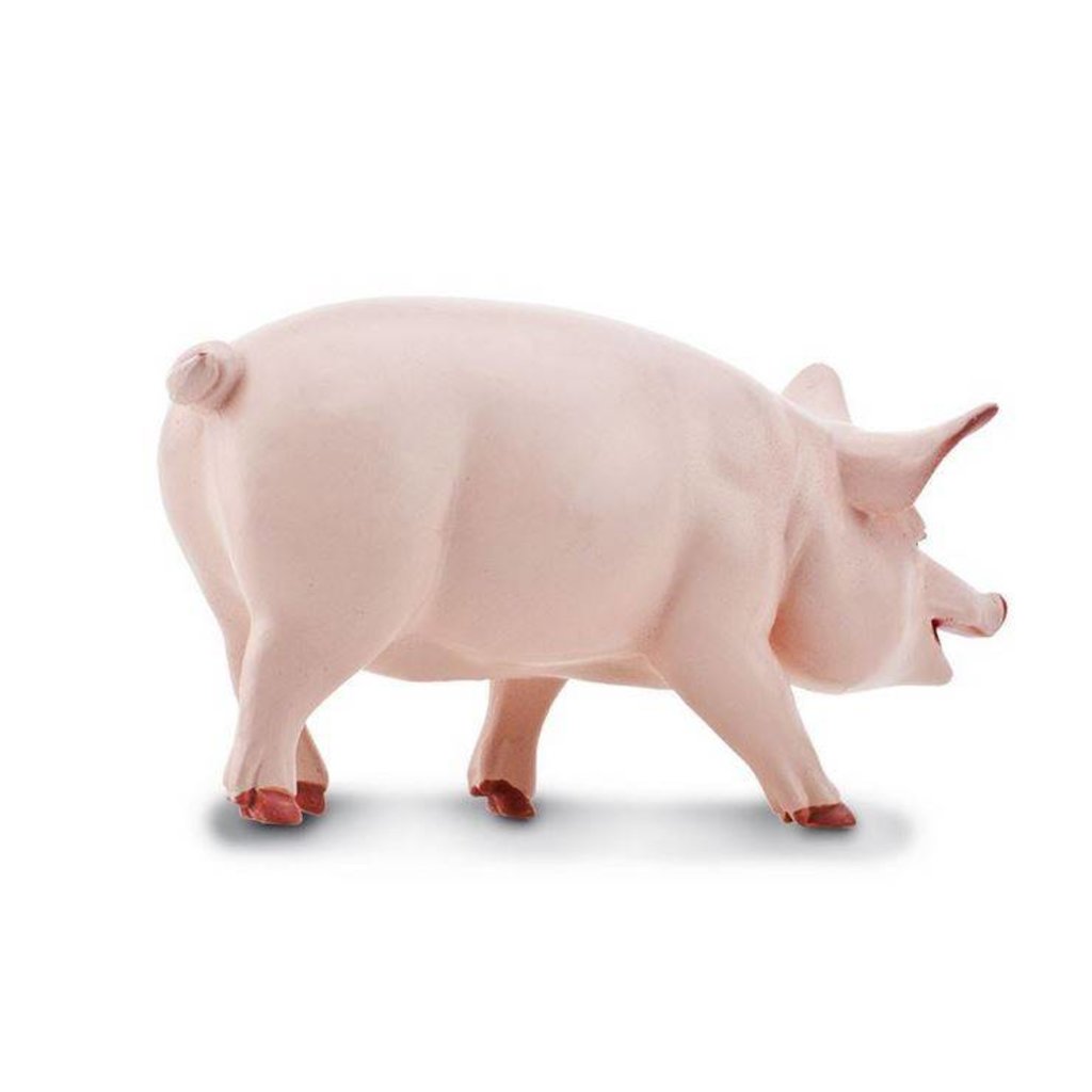SAFARI SAFARI CLASSIC PIG