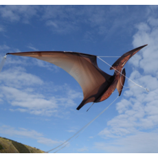 HEEBIE JEEBIES PTERODACTYL JURASSIC KITE