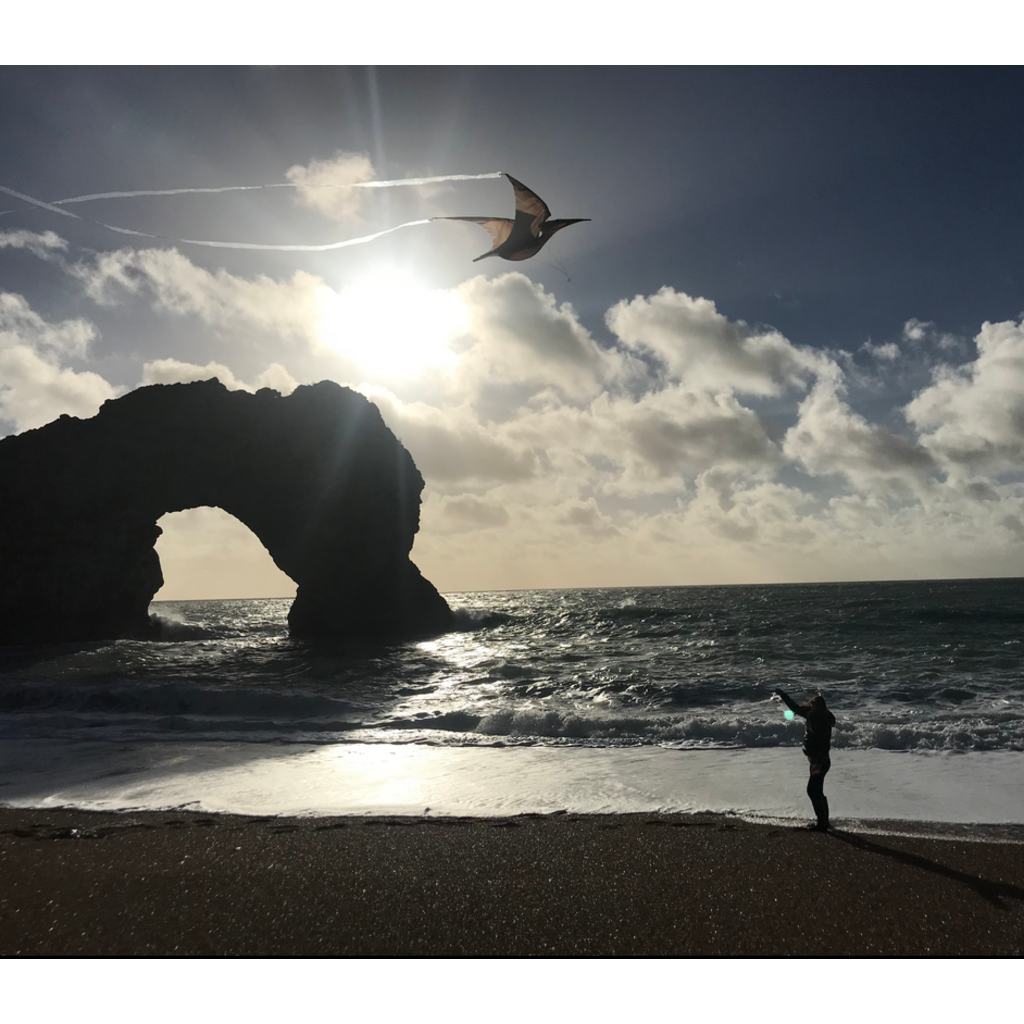 HEEBIE JEEBIES PTERODACTYL JURASSIC KITE