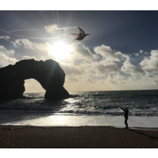 HEEBIE JEEBIES PTERODACTYL JURASSIC KITE