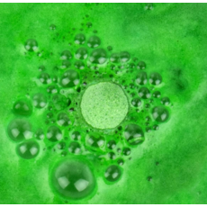 GIFT REPUBLIC ZOMBIE BRAINS BATH BOMBS