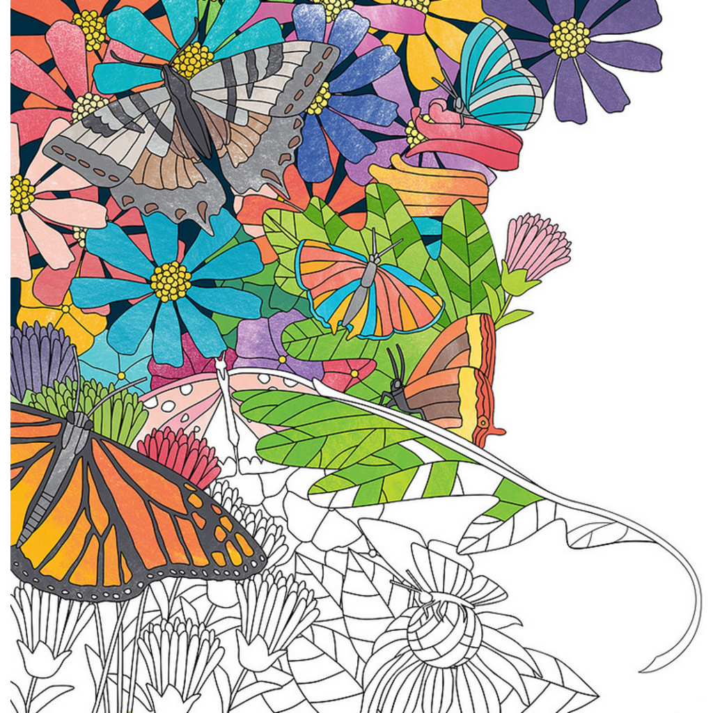 MW WHOLESALE 36 COLORED PENCIL SET