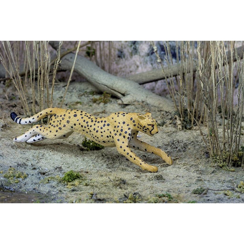 SAFARI SAFARI CHEETAH