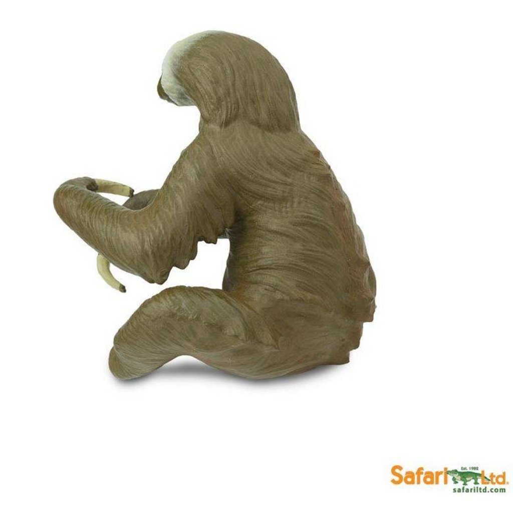 SAFARI SAFARI TWO TOED SLOTH