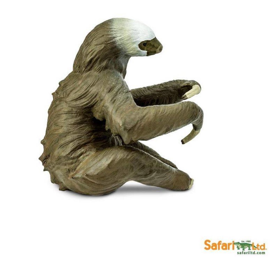 SAFARI SAFARI TWO TOED SLOTH