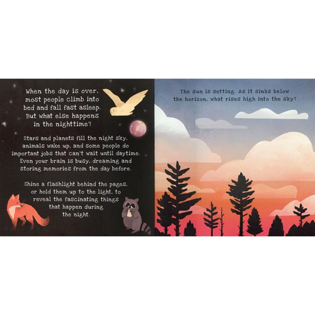 KANE MILLER NIGHTTIME (SHINE A LIGHT) HB BROWN