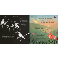 KANE MILLER NIGHTTIME (SHINE A LIGHT) HB BROWN